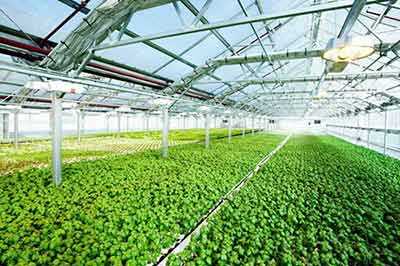 一带一路5.jpg 一带一路5.jpg