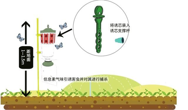 t01f82e7c7224ebd63d.jpg t01f82e7c7224ebd63d.jpg