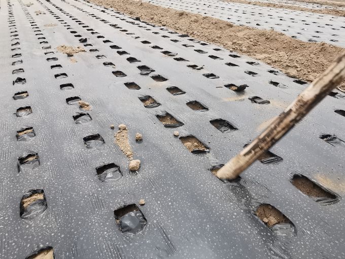 三秦4.jpg 三秦4.jpg