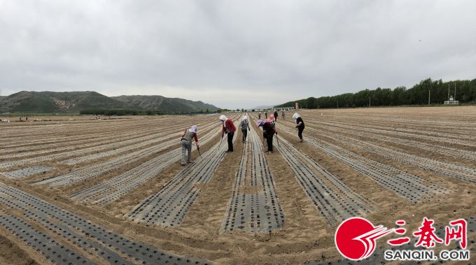 三秦1.jpg 三秦1.jpg