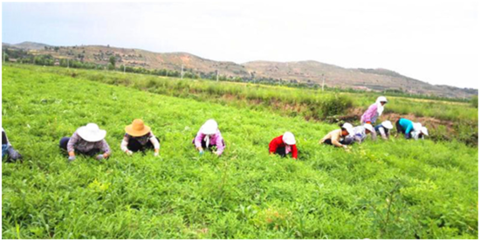 海外1.png 海外1.png