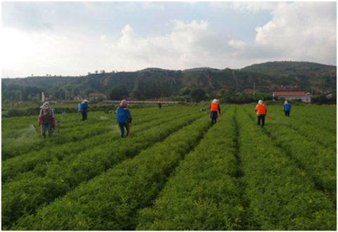 海外3.png 海外3.png