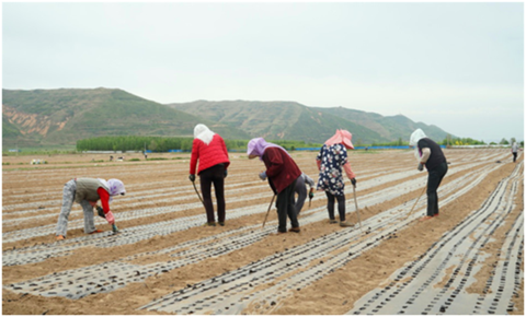 海外2.png 海外2.png