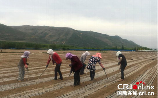 宁夏3.png 宁夏3.png