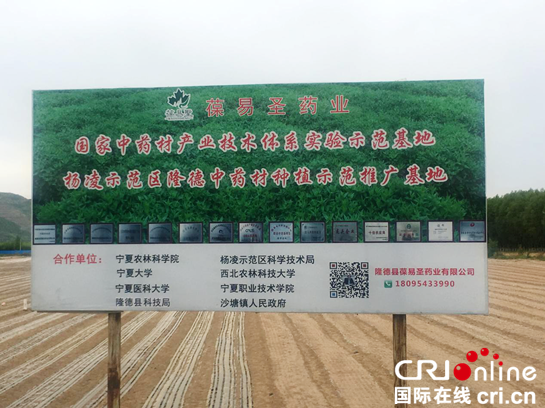 宁夏1.png 宁夏1.png