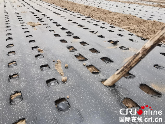 宁夏4.png 宁夏4.png