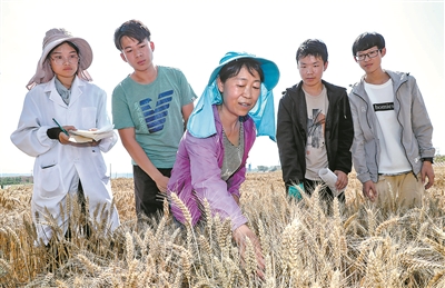 教育.jpg 教育.jpg