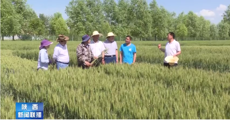 农科2.png 农科2.png