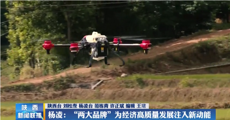 农科1.png 农科1.png