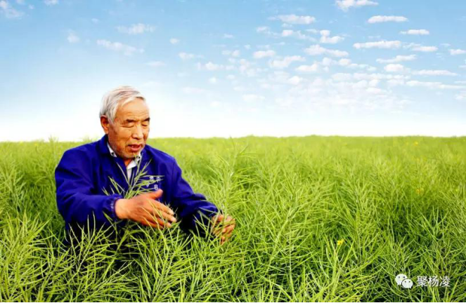 李殿荣1.png 李殿荣1.png