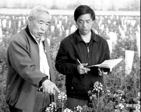 李殿荣2.png 李殿荣2.png