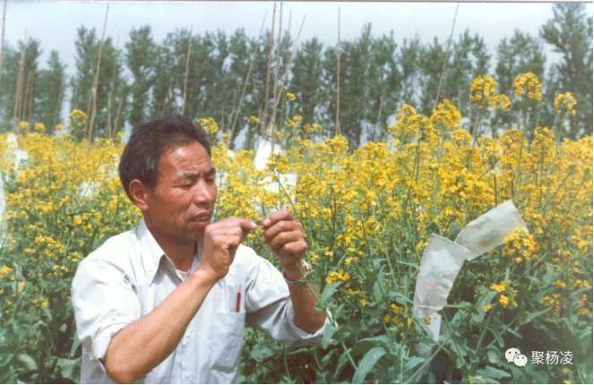 李殿荣4.png 李殿荣4.png