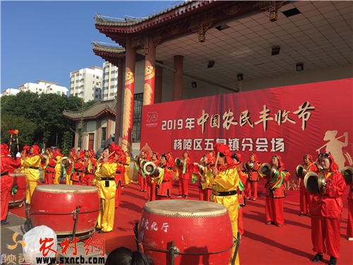 丰1_副本.jpg 丰1_副本.jpg