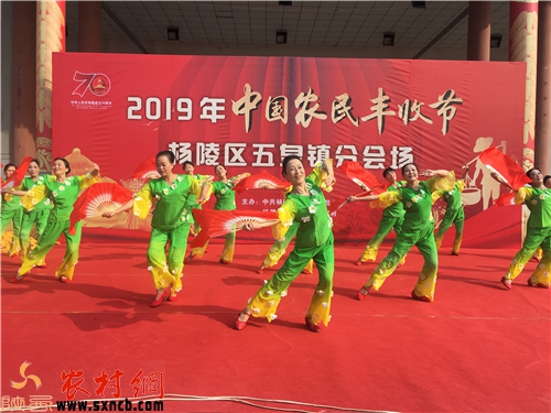 枫2_副本.jpg 枫2_副本.jpg