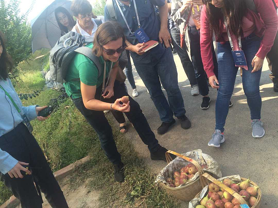 W020190923512910721763.jpg W020190923512910721763.jpg