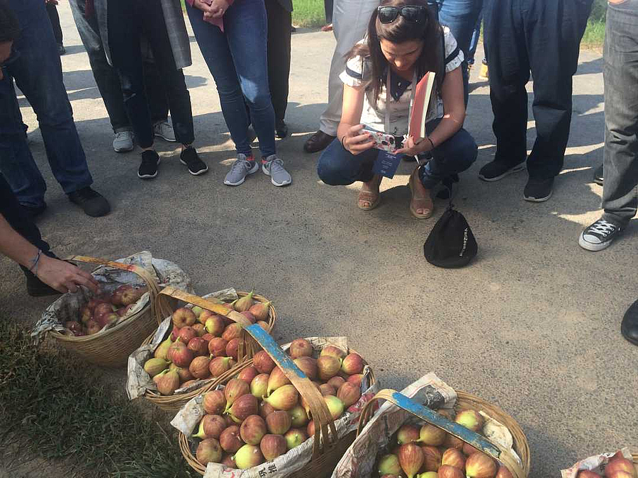 W020190923512910761443.jpg W020190923512910761443.jpg