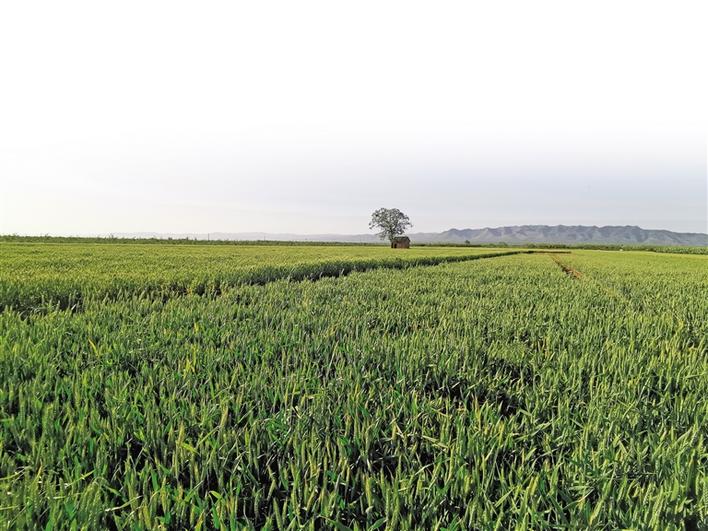 微信图片_20200521090047.jpg 微信图片_20200521090047.jpg