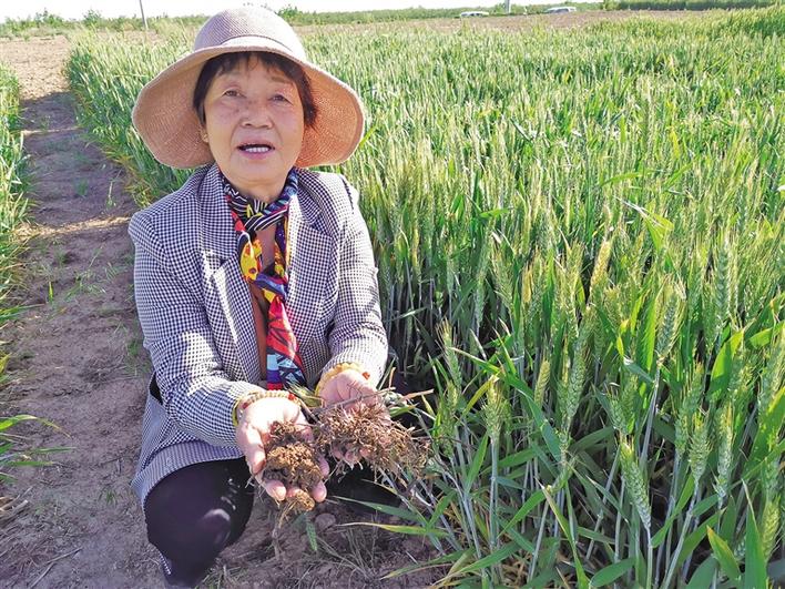 微信图片_20200521090052.jpg 微信图片_20200521090052.jpg