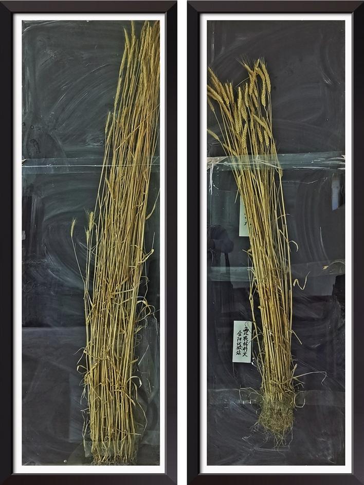 微信图片_20200521090056.jpg 微信图片_20200521090056.jpg