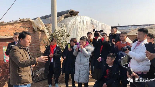 微信图片_20190120200430.jpg 微信图片_20190120200430.jpg