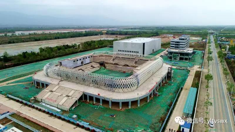 网球.jpg 网球.jpg