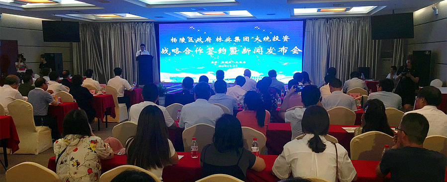 林业1.jpg 林业1.jpg