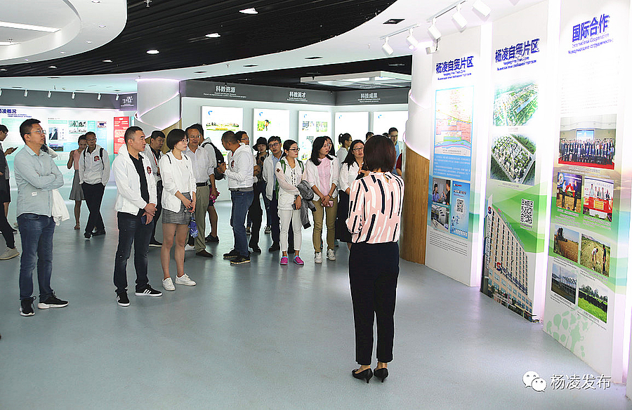 微信图片_20190627090913.jpg 微信图片_20190627090913.jpg