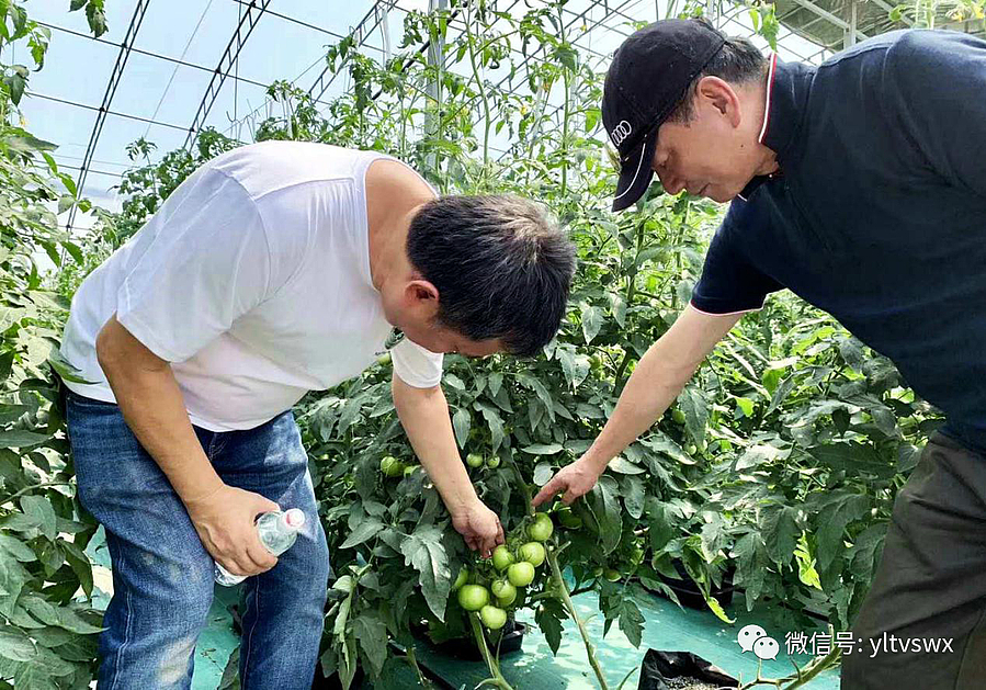 微信图片_20190627163233.jpg 微信图片_20190627163233.jpg