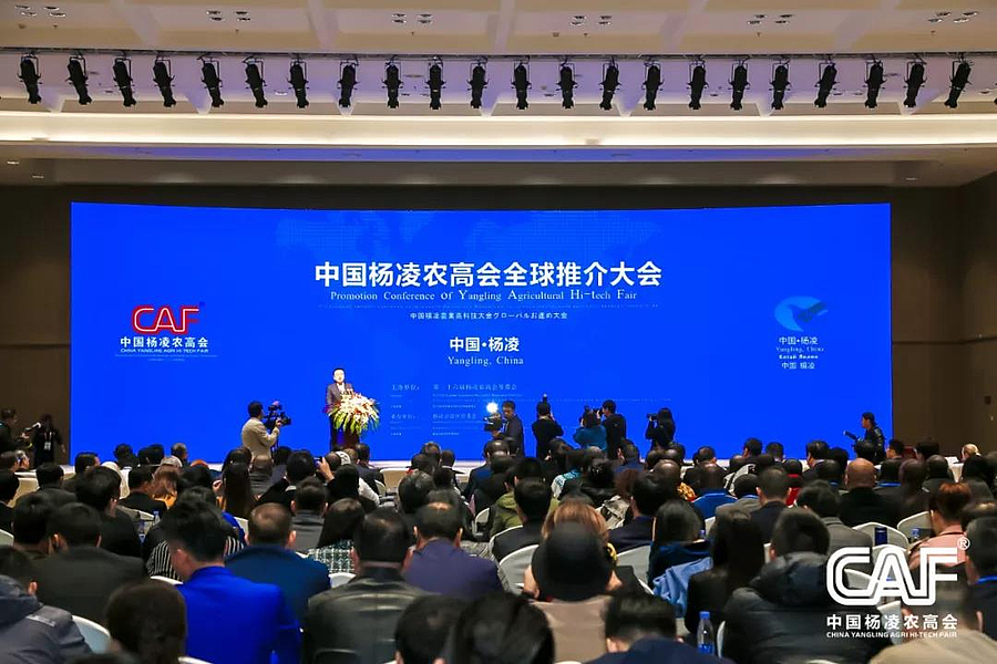 推介1.jpg 推介1.jpg