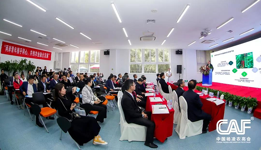 海峡2.jpg 海峡2.jpg