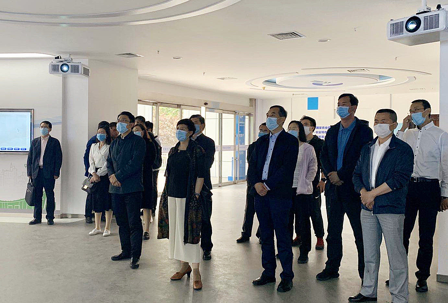 20205121589258405231_1303.jpg 20205121589258405231_1303.jpg