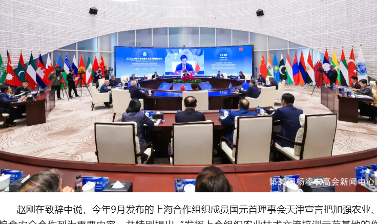 2025上海合作组织现代农业发展圆桌会议召开